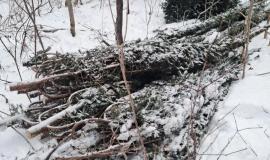 2025-12-04 10.13.40.jpg