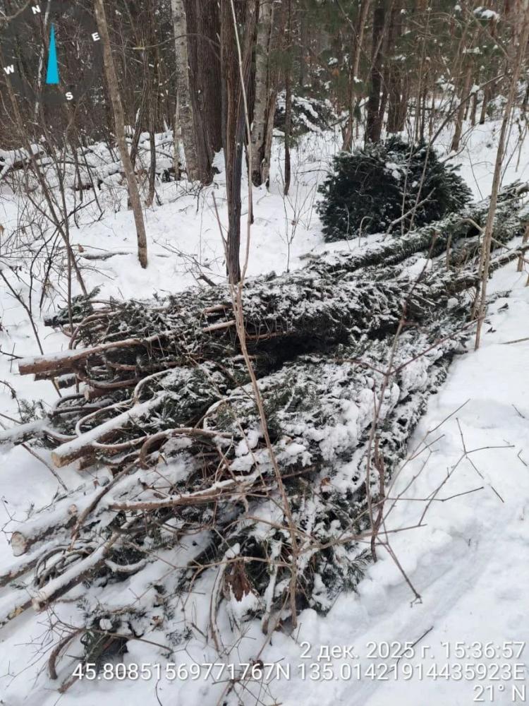 2025-12-04 10.13.40.jpg