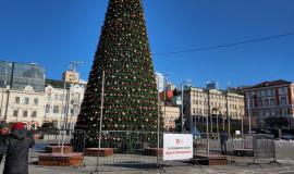 2025-12-04 12.31.55.jpg