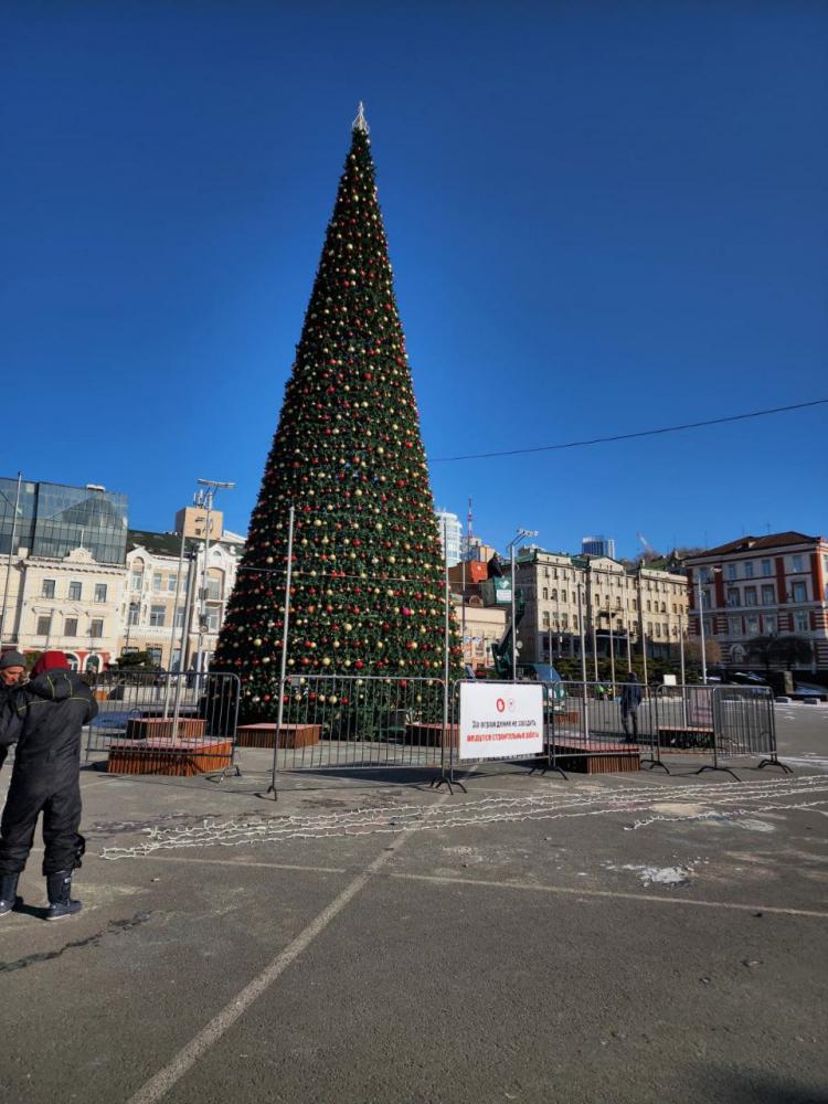 2025-12-04 12.31.55.jpg