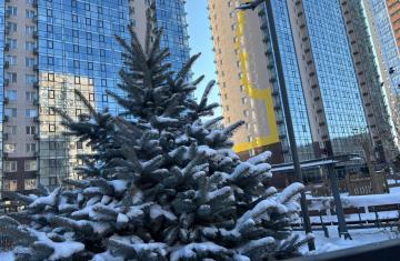 WhatsApp Image 2025-12-01 at 10.41.40.jpeg