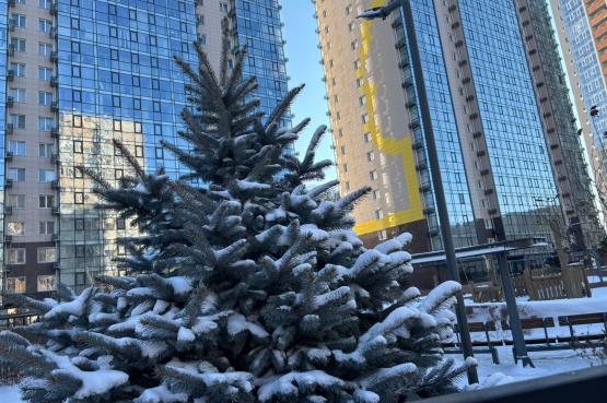 WhatsApp Image 2025-12-01 at 10.41.40.jpeg