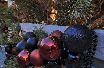 thumb_555497_news_xxxl (1).jpeg