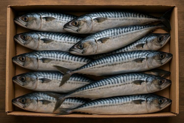 thumb_550398_news_xxxl (2).jpeg