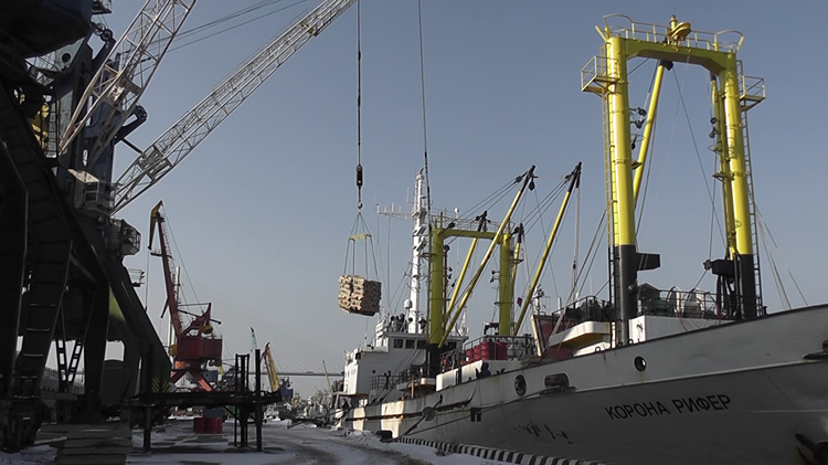 Порт, разгрузка рыбы 2.png