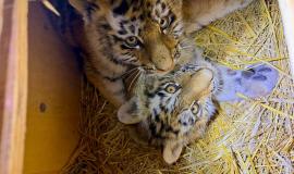 2026-01-08 21.54.25.jpg