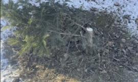 2026-01-13 11.45.26.jpg