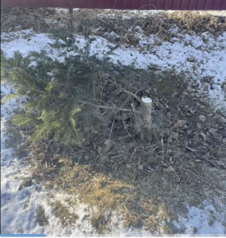 2026-01-13 11.45.26.jpg