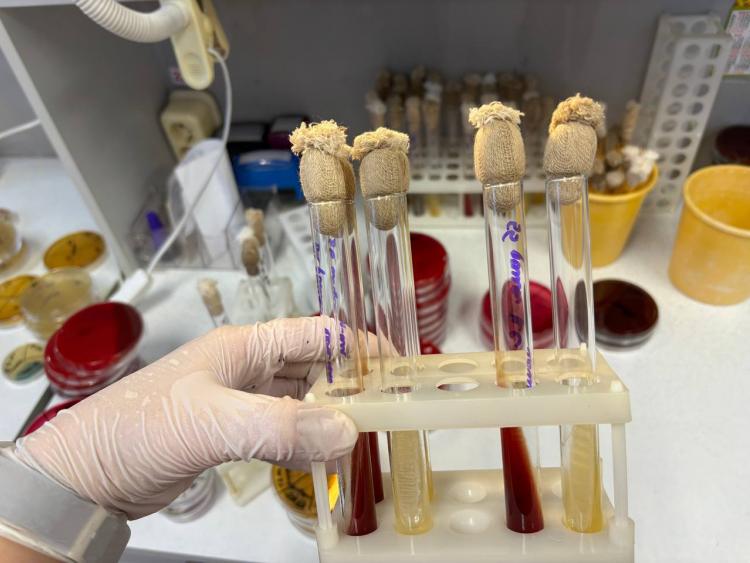 photo_2026-01-15_09-15-37 (2).jpg