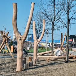 От Сафоновского озера до сопки Орлиное Гнездо – городские пустыри превратились в современные зоны отдыха #6