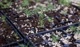 2026-01-20 10.26.36.jpg