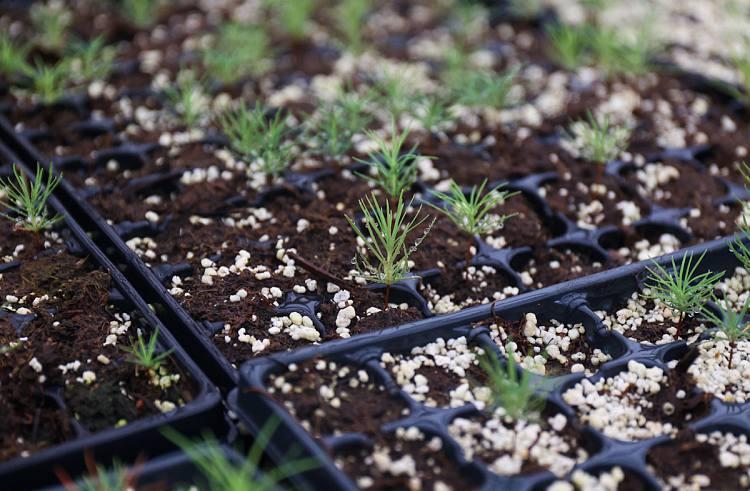 2026-01-20 10.26.36.jpg