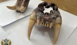 2026-01-20 11.16.14.jpg