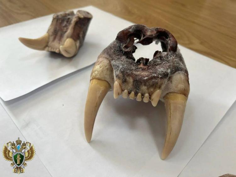 2026-01-20 11.16.14.jpg