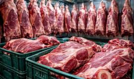 2026-01-21 12.24.54.jpg