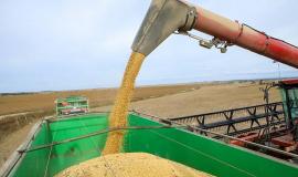 2026-01-23 11.55.51.jpg