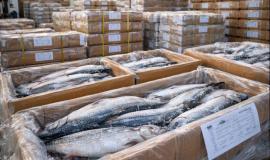 2026-01-27 09.16.19.jpg