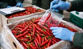 2026-01-27 11.15.52.jpg