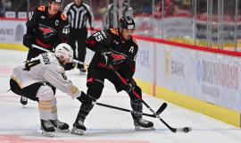 2026-01-27 11.56.38.jpg