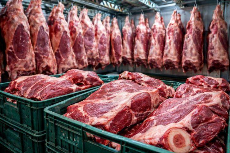 2026-01-28 09.25.49.jpg