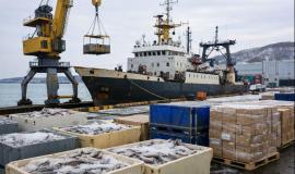 2026-01-29 09.48.19.jpg