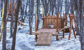 2026-01-29 10.01.35.jpg