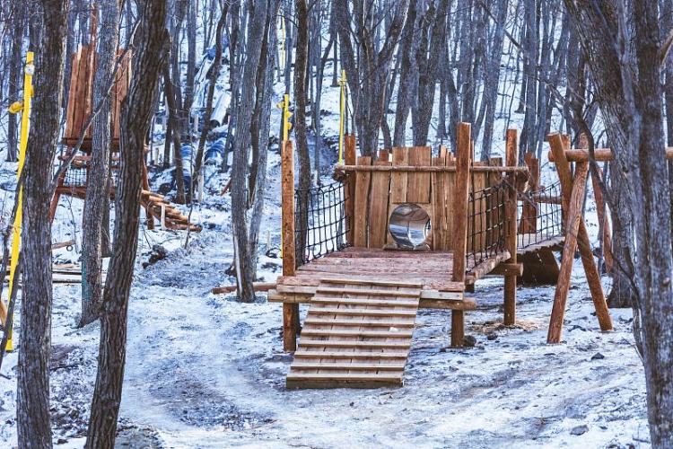 2026-01-29 10.01.35.jpg