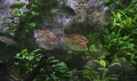 2026-01-29 10.48.39.jpg