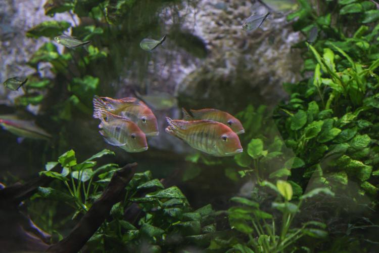 2026-01-29 10.48.39.jpg