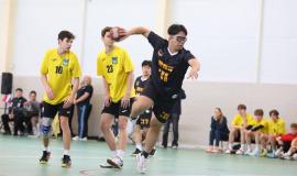 2026-01-29 11.52.37.jpg