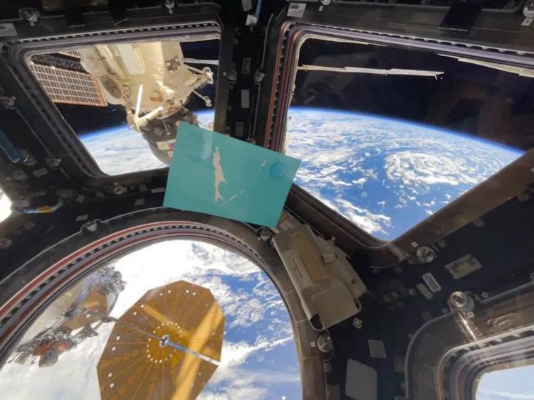 2026-01-30 10.15.39.jpg