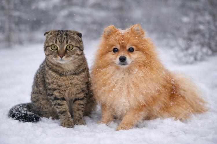 2026-02-04 09.58.18.jpg