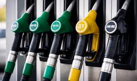 2026-02-05 09.52.44.jpg