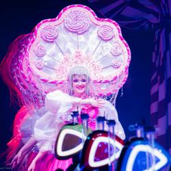 Цирк никого не оставит равнодушным: дети и взрослые окунутся в атмосферу волшебства и радости #1