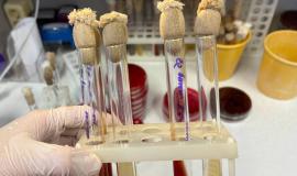 2026-02-06 09.45.22.jpg