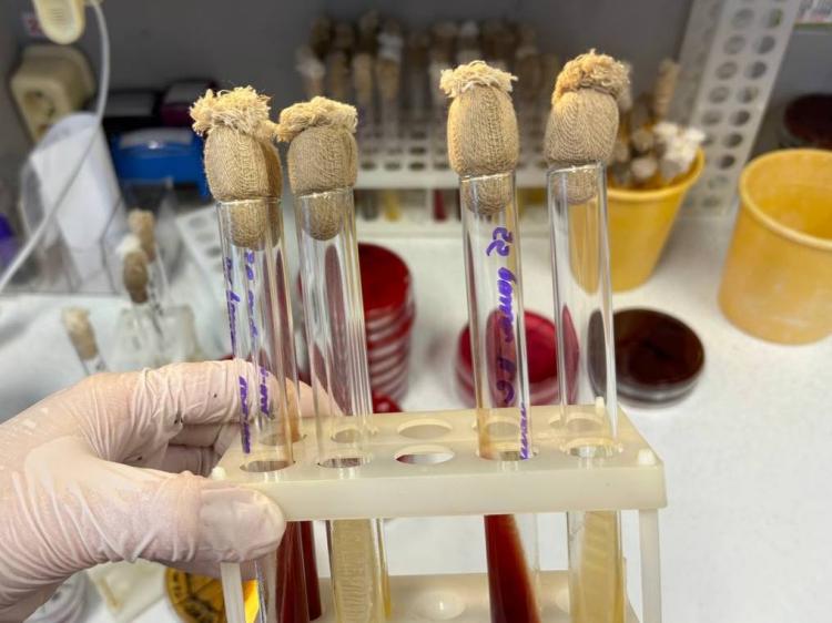 2026-02-06 09.45.22.jpg