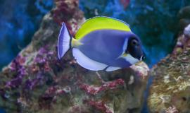 2026-02-06 09.47.23.jpg