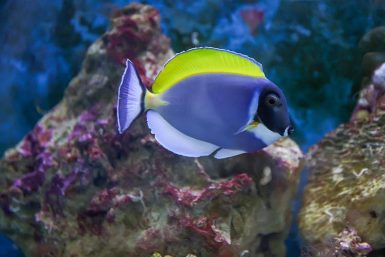 2026-02-06 09.47.23.jpg