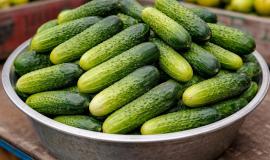 2026-02-06 10.37.19.jpg