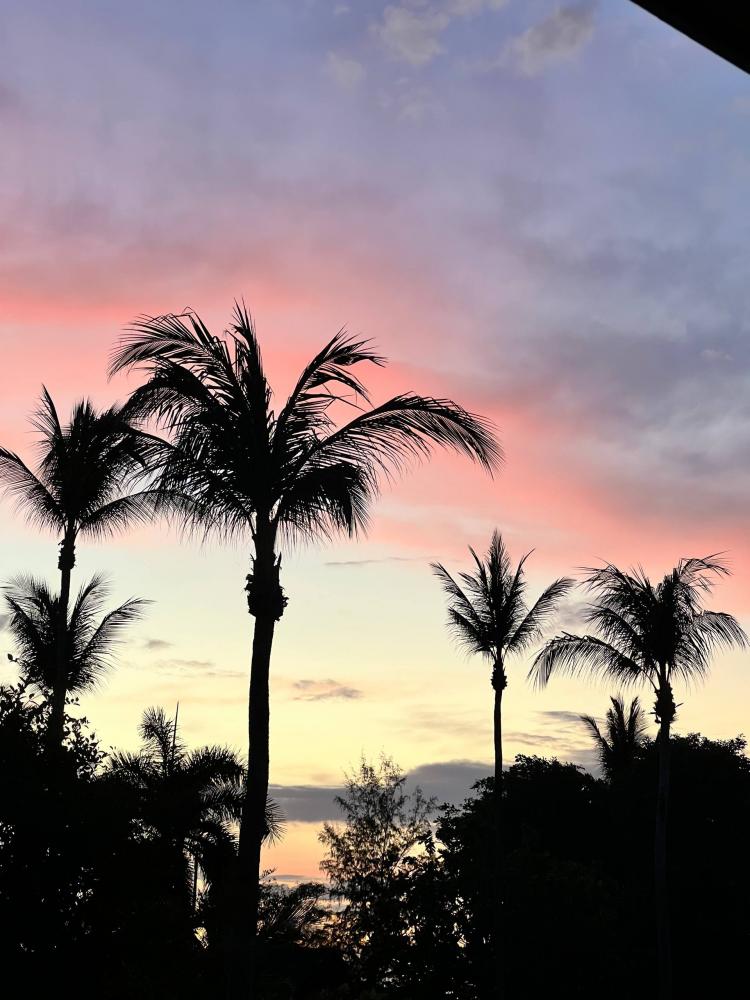 2026-02-06 12.49.53.jpg