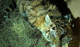 Без имени.jpg