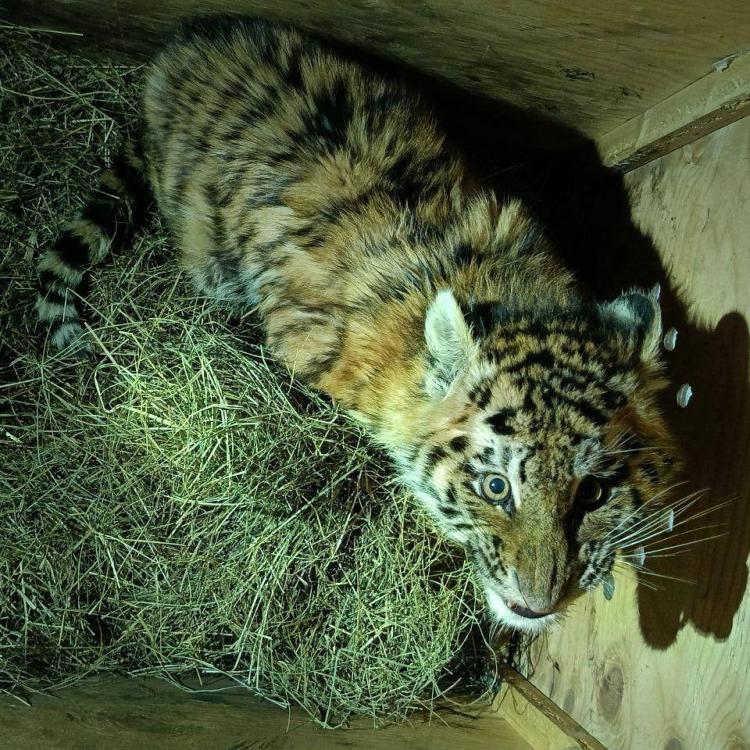 Без имени.jpg