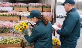 2026-02-12 09.43.40.jpg