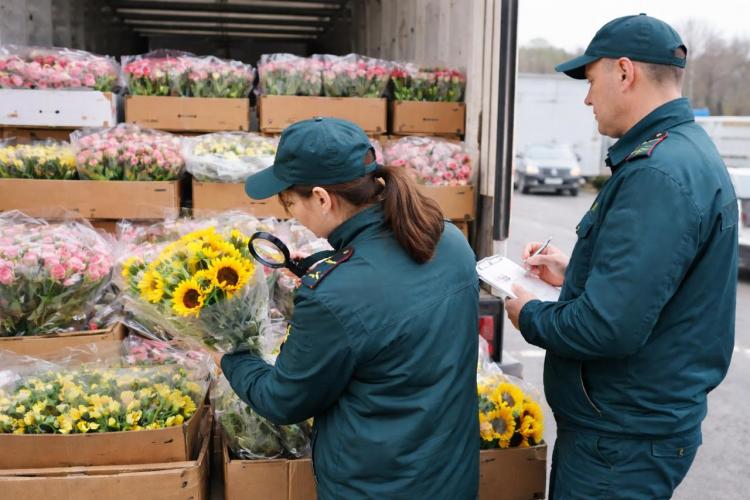 2026-02-12 09.43.40.jpg