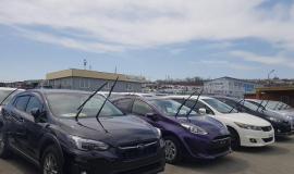 thumb_559581_news_xxxl (2).jpeg