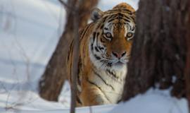 2026-02-18 11.14.52.jpg