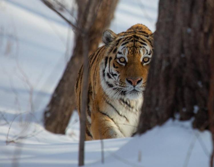 2026-02-18 11.14.52.jpg