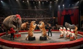 2026-02-19 09.47.24.jpg