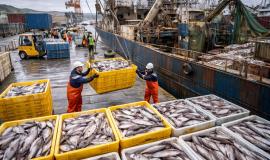 2026-02-19 09.50.50.jpg