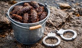 2026-02-19 10.56.32.jpg